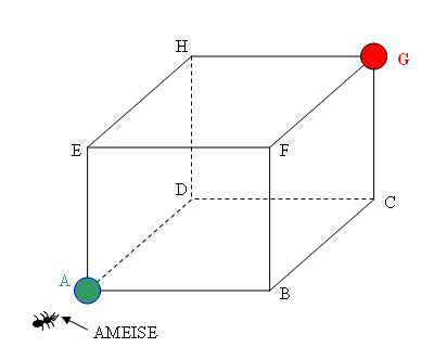 Ameise.jpg