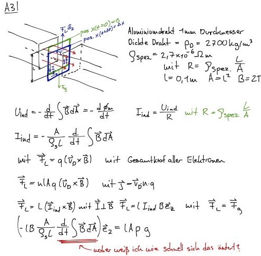 bungsblatt 7.jpg