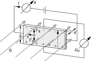 fff4627.jpg