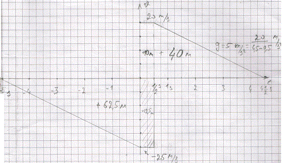 Neg Geschw2.gif