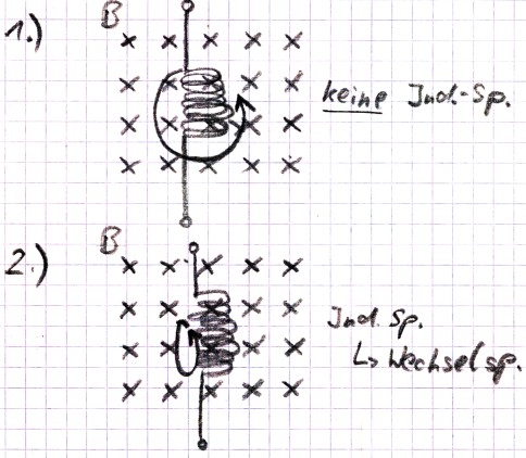 Spule_im_Magnetfeld.jpg