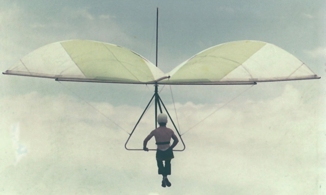 Standard-Rogallo.gif
