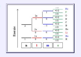 termschema.JPG