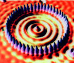 topf_150x100.gif