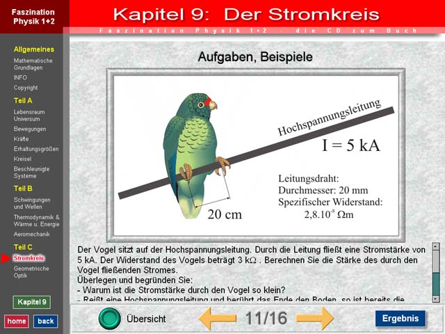 vogel1.jpg
